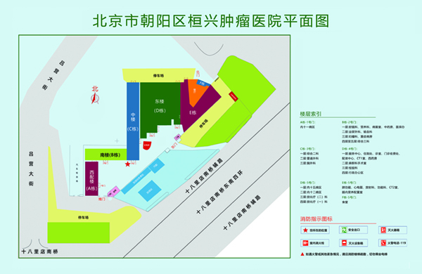 17C极品2区北京市朝阳区桓兴肿瘤医院平面图